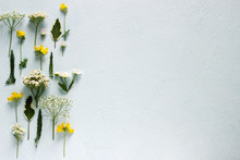 Composition From Various Wildflowers On A Light Blue Background.