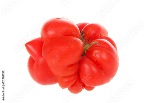 Fotografía Severely malformed mutant tomato