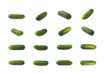 Wall Mural - Fresh green cucumber isolated