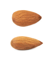 Wall Mural - Single almond isolated