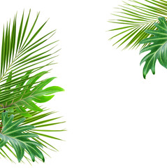 Wall Mural - Green palm branches and monstera leaves