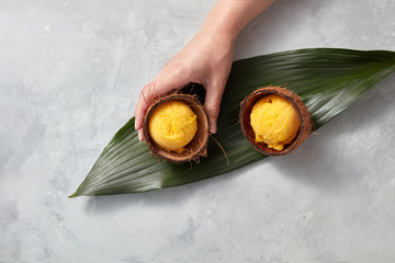 A girl's hand holds a coconut shell with a mango sorbet on a green leaf on a gray concrete background. Top view