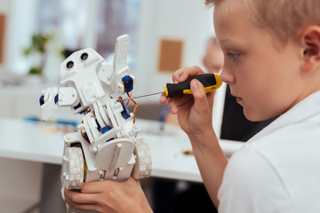 Wall Mural - professional tech. smart blonde boy building a robot while being interested in technology