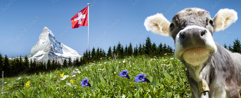 Matterhorn mit Kuh und Schweizer Flagge - obrazy, fototapety, plakaty 