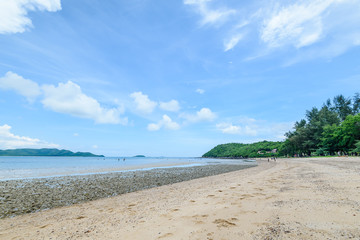 Wall Mural - The beach and the sea with blue sky