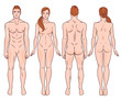 Male and female full body back and front image. Vector illustration set.