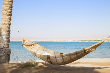 Wall Mural - Hammock haning on tropical beach with palms