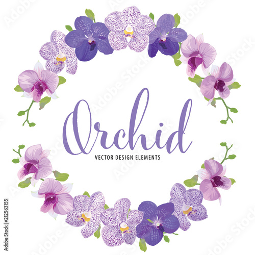 Cuadros en Lienzo Floral frame with tropical orchid flowers on white background template