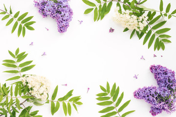  Lilac flowers, rowan branches on white background. Flat lay, top view