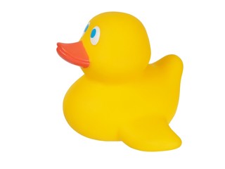 Wall Mural - Yellow rubber duck