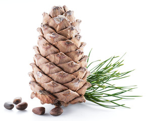 Wall Mural - Pine nut cone and pine nuts on the white background. Organic food.