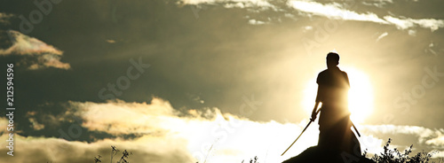 Warrior with sword panorama silhouette Wallpaper Mural