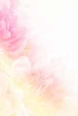 Wall Mural - blurry of flower on mulberry paper with copy space for backgorund.