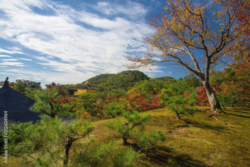 Photographie Top view of Kinkakuji temple in autumn