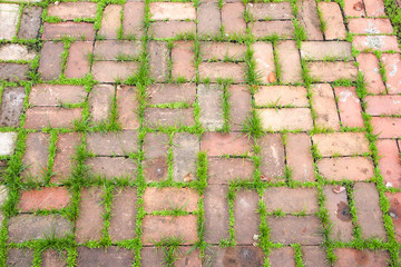 texture of a paving stone track on a green grass