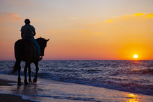Woman Riding A Horse On The Beach