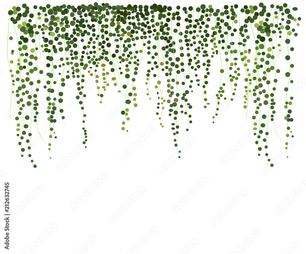 ivy wall background. greenery vector illustration. climbing plant leaves. texture background card website banner leaflet web flyer blog stationery - obrazy, fototapety, plakaty 