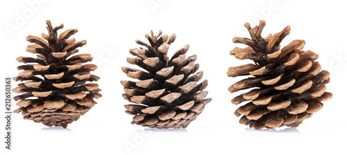 Fotografía Pine cones isolated on white background