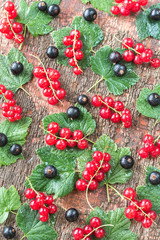 Poster - Black and red currant on the wooden board