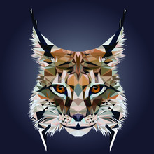 Low Poly Triangular Lynx (bobcat) Face On Dark Background, Symmetrical Vector Illustration EPS 10 Isolated.  Polygonal Style Trendy Modern Logo Design. Suitable For Printing On A T-shirt.
