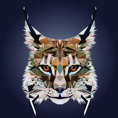 Wall Mural - Low poly triangular lynx (bobcat) face on dark background, symmetrical vector illustration EPS 10 isolated.  Polygonal style trendy modern logo design. Suitable for printing on a t-shirt.