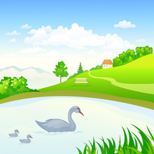 Lake With Swans