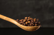 cloves  seasoning in a wooden spoon close up