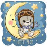 Cute Teddy Bear in a pilot hat is sitting on the moon