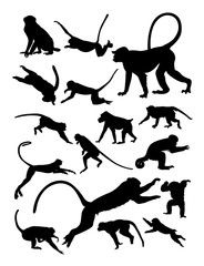 Wall Mural - Monkey silhouette. Good use for symbol, logo, web icon, mascot, sign, or any design you want.