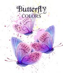 Butterflies watercolor card Vector. Peace Day delicate backgrounds