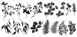 Silhouettes of forest and garden plants and flowers. Set of vector illustrations isolated on white background.