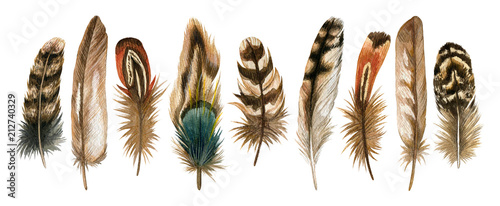 Photographie Watercolor hand drawn isolated set of brown feathers