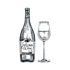 vector hand drawn glass and bottle of wine Illustration