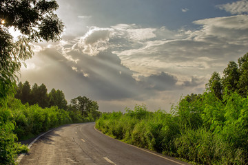 long road in landscape forest