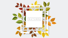 Autumn Nature Geometric Frame With Branches And Leaf. Vector Illustration For Fall Nature Design And Background