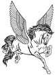 Pegasus mythological winged horse . Black and white tattoo vector