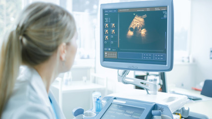 Wall Mural - In the Hospital, Obstetrician Looking at Computer Screen at Transducer for Ultrasound/ Sonogram Screening / Scanning Belly of the Pregnant Woman. Computer Screen Shows 3D Image of Healthy Forming Baby