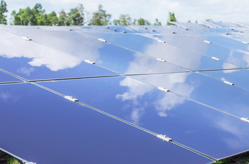 Wall Mural - close up array of thin film solar cells or amorphous silicon solar cells or photovoltaics in solar p
