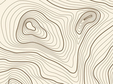 Topographic Map Background Of Mountain Terrain. Vector Mapping Contour Texture With Elevation