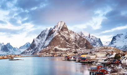 Wall Mural - sea bay in the lofoten islands. natural landscape during sunrise in the norway