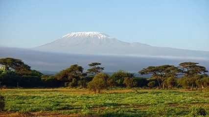 kilimanjaro and kenyan landscape