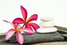 White Spa Stone With Frangipani Flowers On The Slate Floor. The Concept Of Balance And Harmony