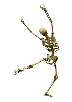 3D Rendering Human Skeleton on White