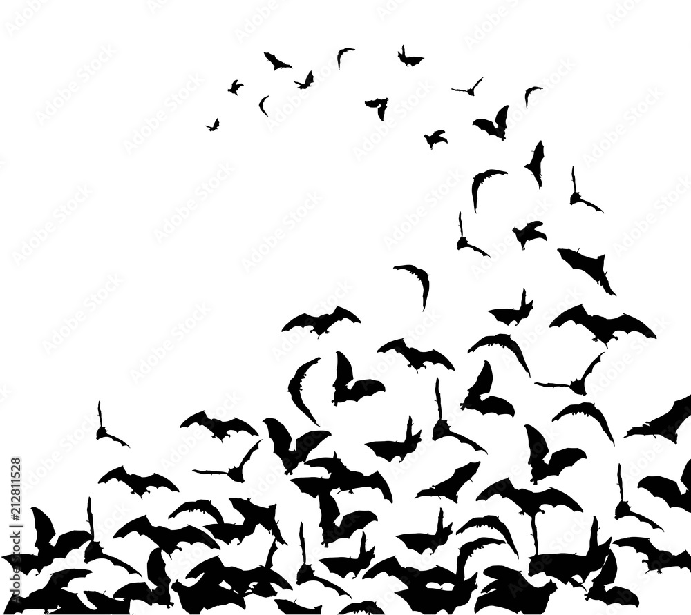 Flying bats in the sky Stock Vector | Adobe Stock