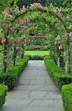 Rose Garden Archway