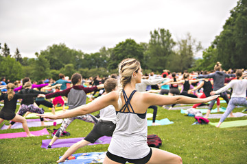 Wall Mural - big group of adults attending a yoga class outside in park