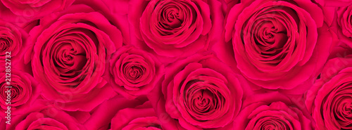banner rose red background