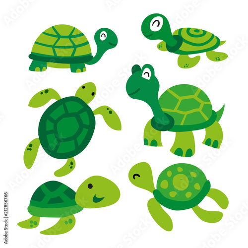 Fotografía turtle vector collection design