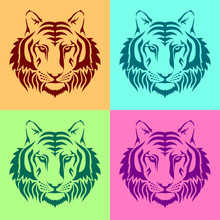 Isolated Muzzles Of A Tiger On Colored Backgrounds.