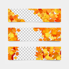 Wall Mural - set of banners with yellow and orange leaves. autumn sale borders template.